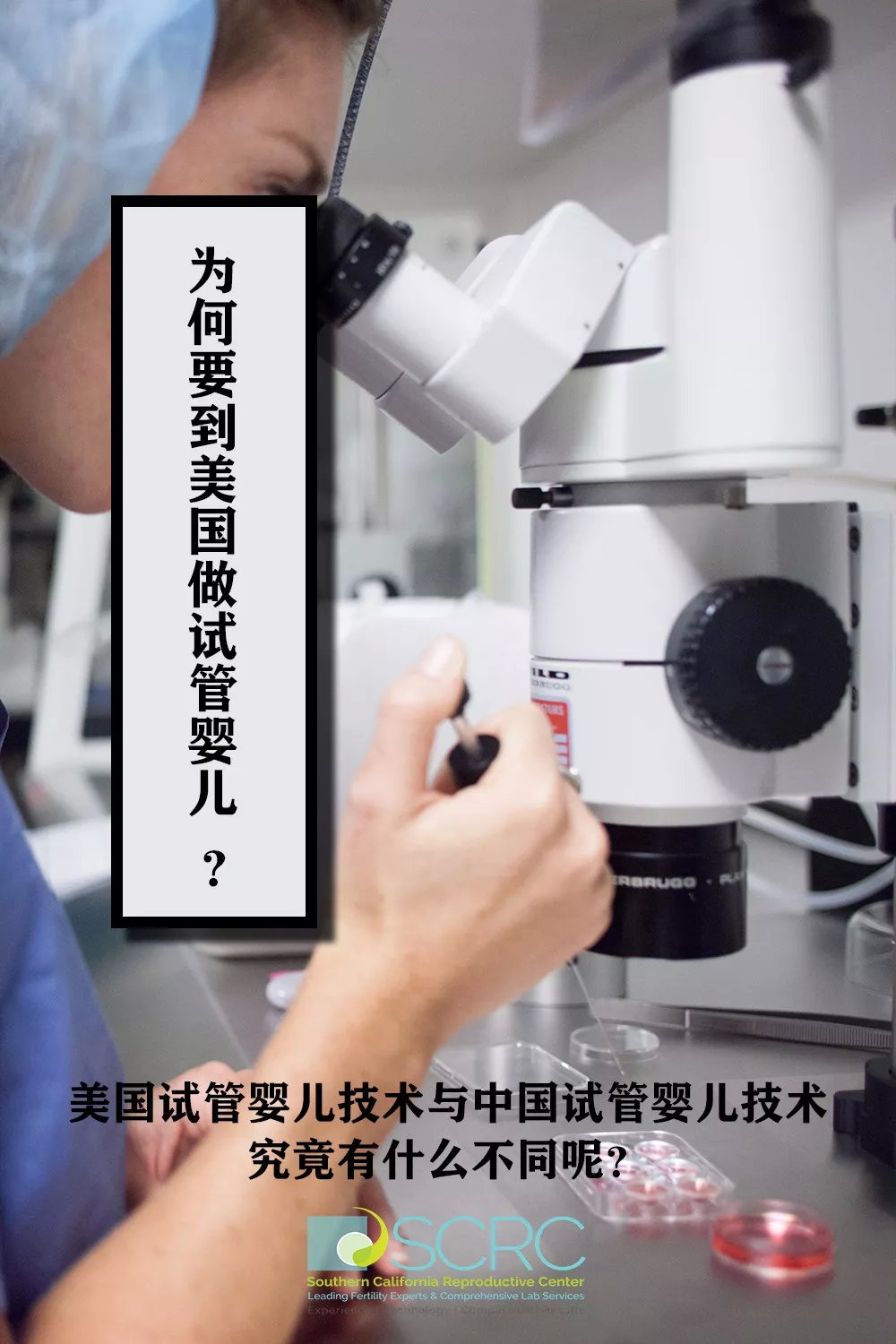 文章